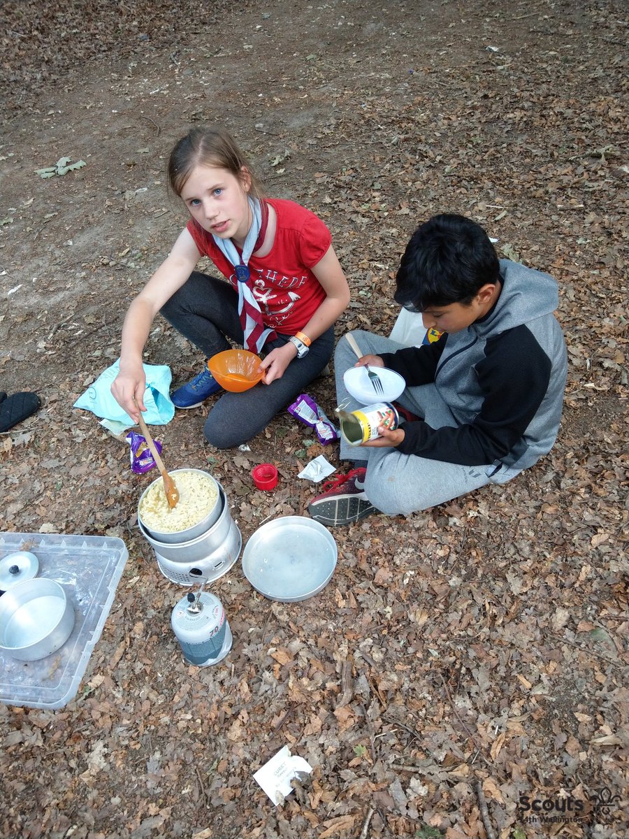 14th Wallington Scouts tweet media