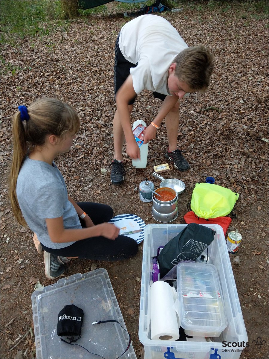 14th Wallington Scouts tweet media