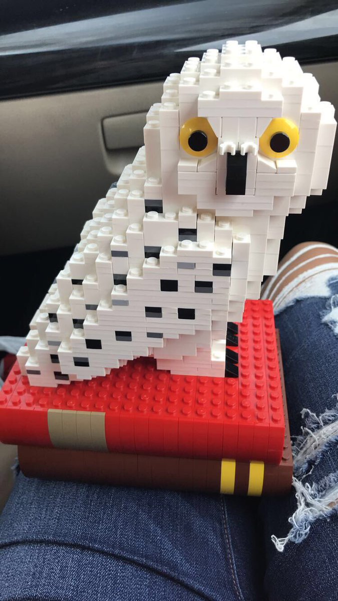 Marlene_527's tweet photo. Thank you @Target for this super awesome prize I received today, a @LEGO_Group #Headwig !!!#HarryPotter #20thAnniversary https://t.co/kaW4fCcUnP