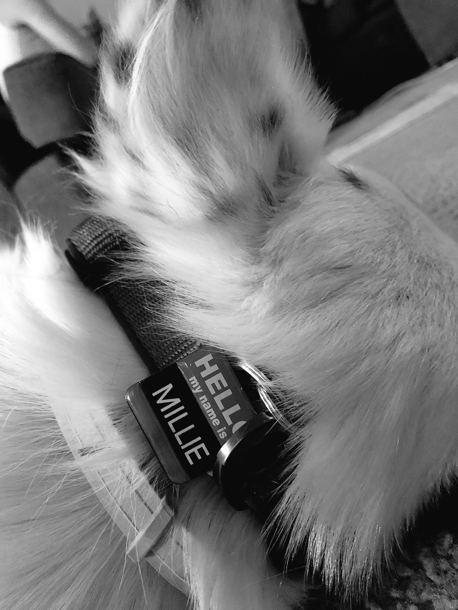 Sabra🍁 tweet media