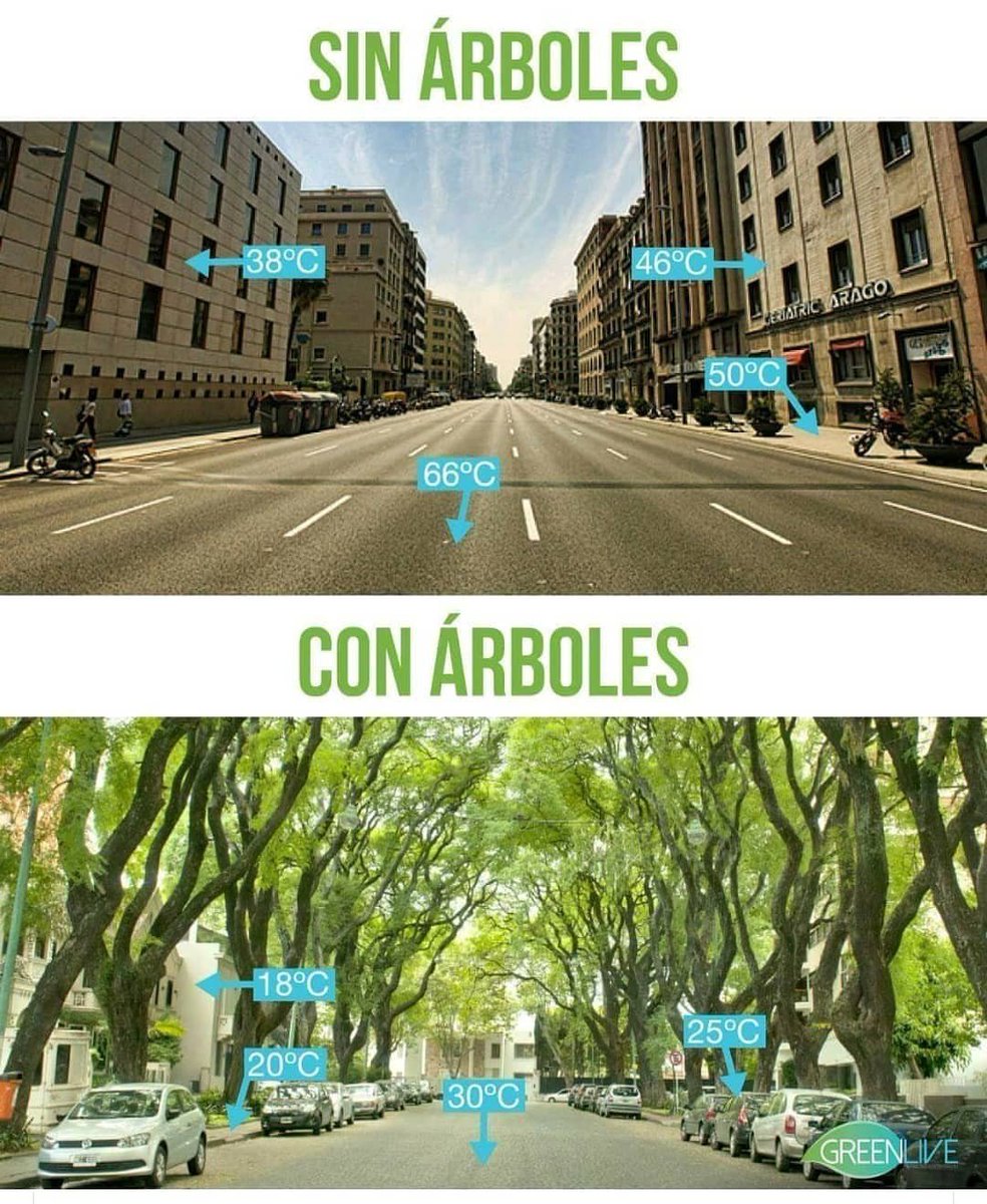 Si los árboles dieran WiFi, mucha gente los plantaría y cuidaría. Desafortunadamente solo dan oxígeno, agua y sombra.