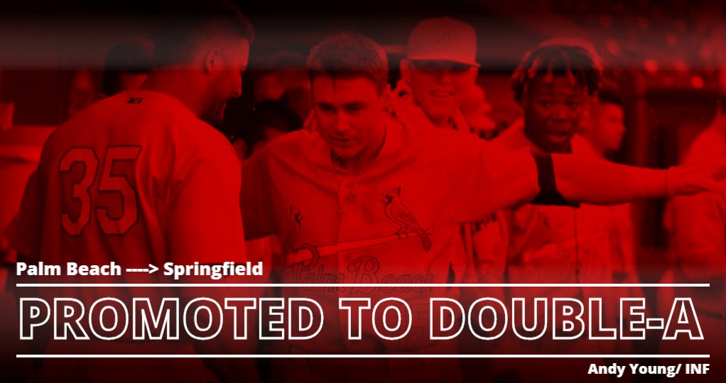 GoPBCardinals's tweet photo. Infielder Andy Young has been promoted to @Sgf_Cardinals!

In 84 games this season, the Florida State League All-Star hit .276 with a .372 OBP. He also had a team high 12 HR and 34 RBI! #BeachBirds https://t.co/1lN5SeB2eM