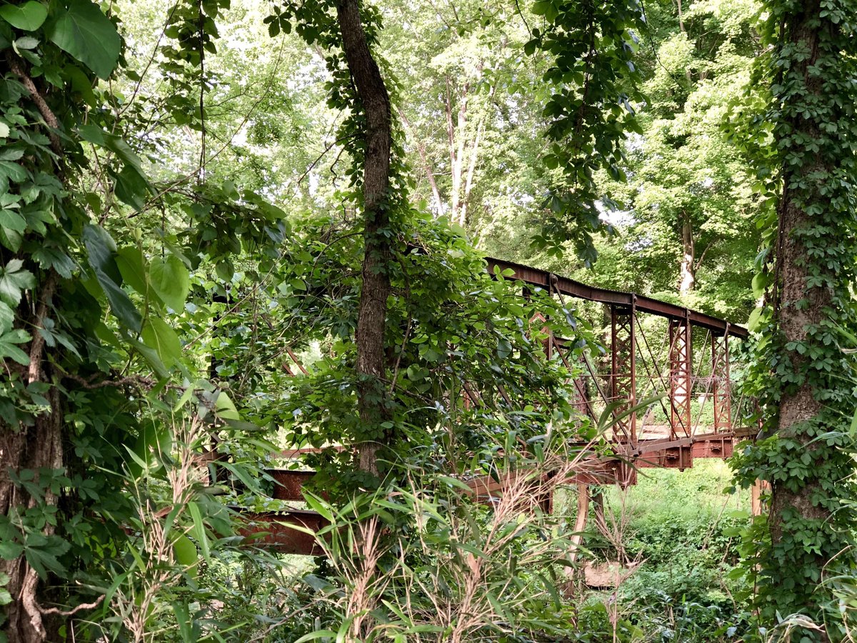 oneswhoexplore's tweet photo. Abandoned bridge in the forest over the Green River, Kentucky - By AngryEnthusiasm on Reddit
📷
#Explore #Photography #Wanderlust #Travel #RoundTheWorld #Nature #Outdoors #Retro #PhotoOfTheDay #Aesthetic #Art #Fun #Happy #Photo #Style #Amazing #Life #Love #Earth #Inspiration https://t.co/4PLJrvkZtD
