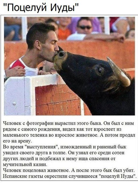 PavelKrav's tweet photo. https://t.co/dQFjHooNnQ