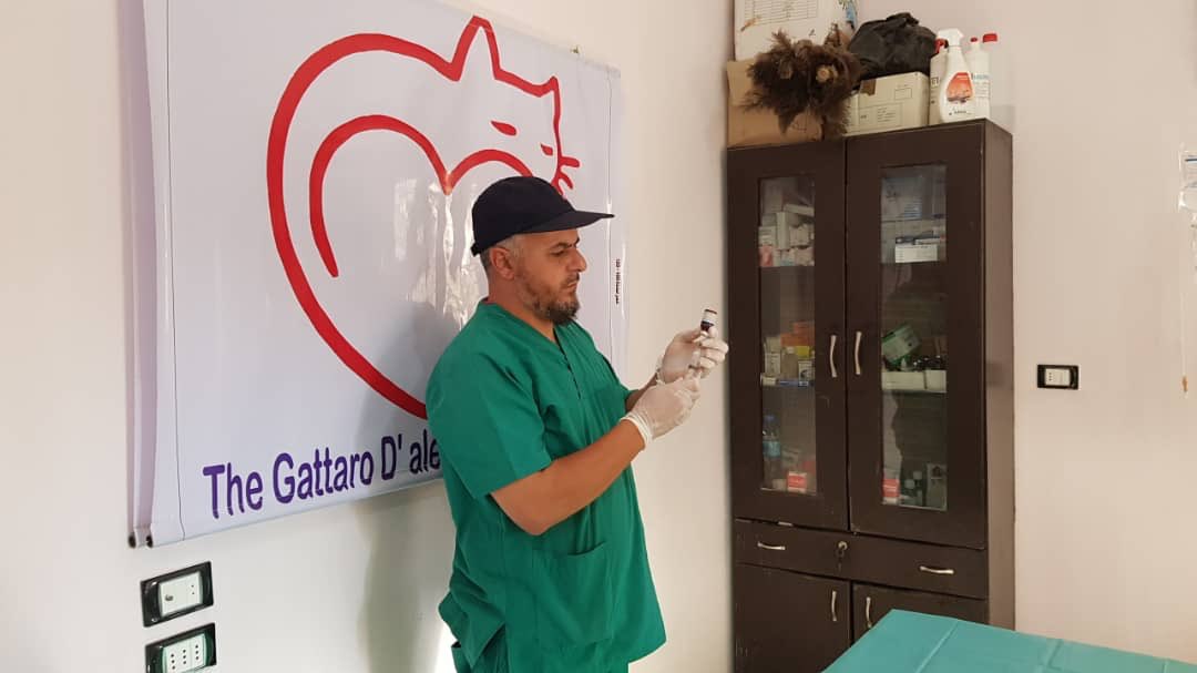 theAleppoCatmen's tweet photo. Great news from our vet clinic
Our Doc Youssef had neutered the dog hope today !! 😘❤️ #VetClinic #SyrianDogs #ErnestoSanctuary @theAleppoCatman https://t.co/9qpbuF3Nw8
