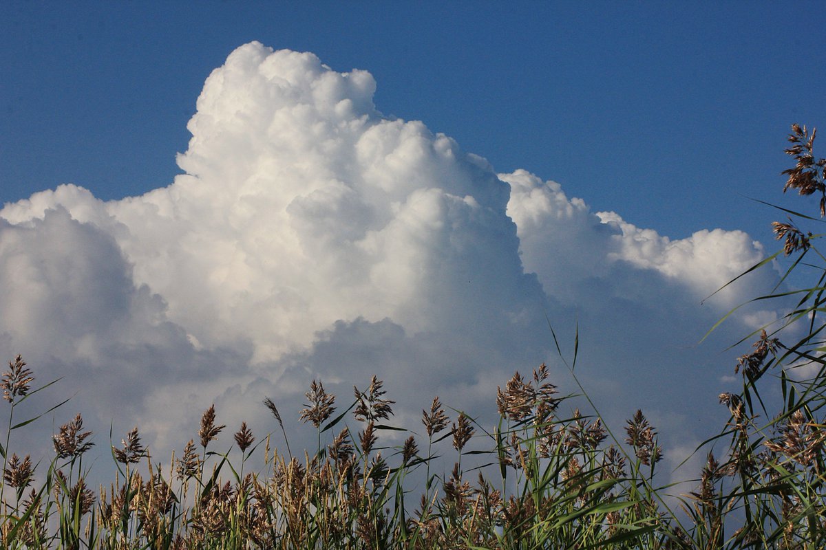 Kippalainen's tweet image. Ihania muhkurapilviä pohjoisen puolella 💕😊

#valokuvaus #kesae #pilvi #Helsinki #Finland #photo #cloud