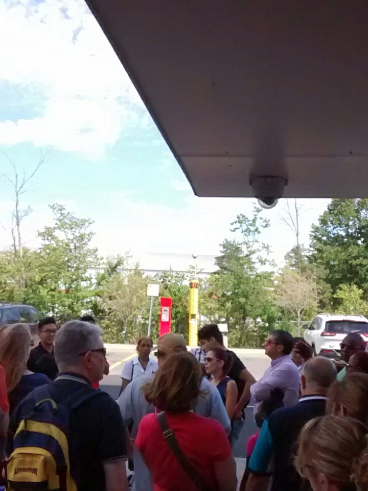 PRuffo77's tweet photo. @CarletonSEO The tour group.
#CUatSummerO https://t.co/eToijm1dIE