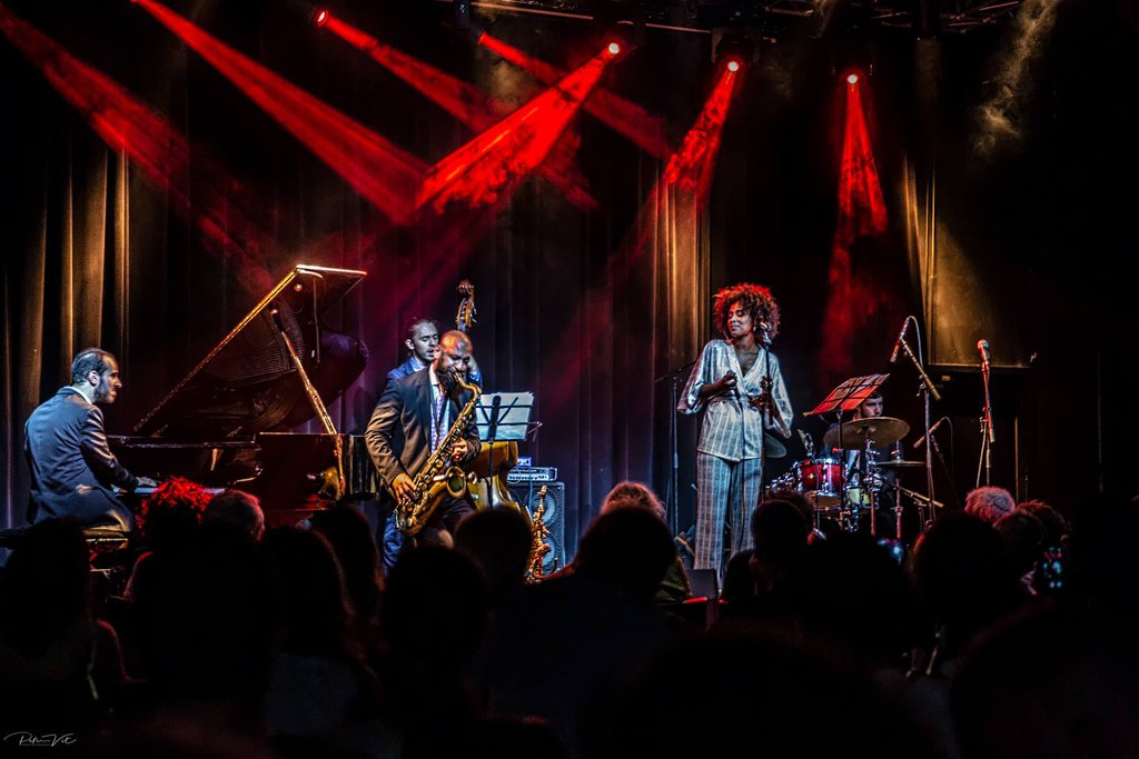 officialdegibri's tweet photo. Here are a few moments captured at last night's extravaganza with the Eli Degibri Quartet featuring special guest, Ester Rada! Have a jazzy weekend, y'all! 🎷❤⠀
⠀
📸 Peter Vit⠀
⠀
#elidegibri #jazz #quartet #israel #israeli #jazzclub #music #jazzlife #jazzmaster #esterrada https://t.co/wM2JcA20ee