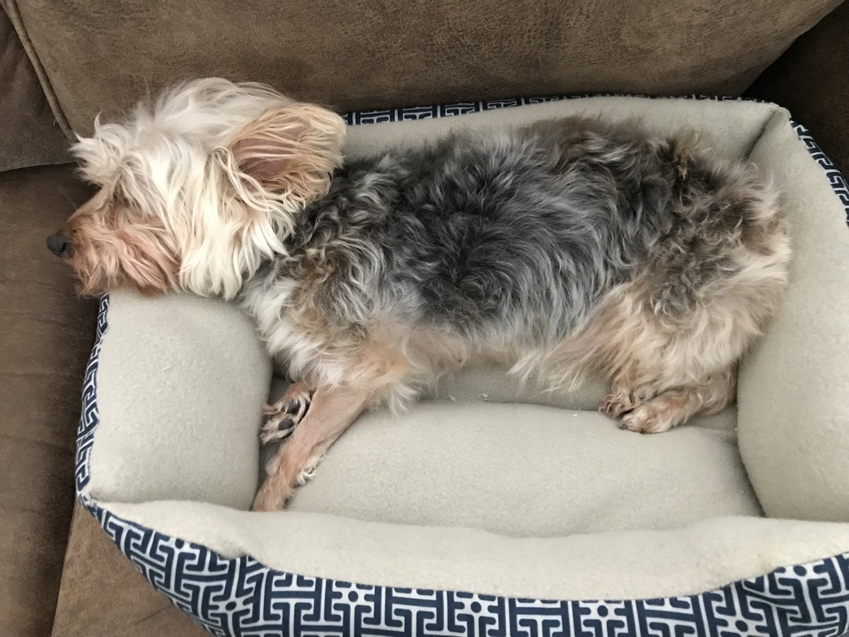 MelindaSutherl2's tweet image. If the thought of finding good health coverage wears you out, call my mommy!! ushagent.com/mindysutherland #givingyoupeaceofmind #healthcoverageoptions #helpingotherpeopleeveryday