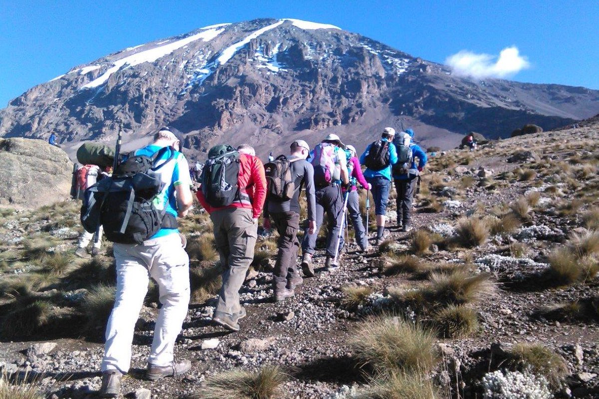 Climb Mount Kilimanjaro, all routes available.
daydreamsafari.com/climb-mount-ki… 
Email: info@daydreamsafari.com 
Call/WhatsApp: +254 715946852
#trekking #ClimbKilimanjaro #Travel #LuxuryTravel #luxury