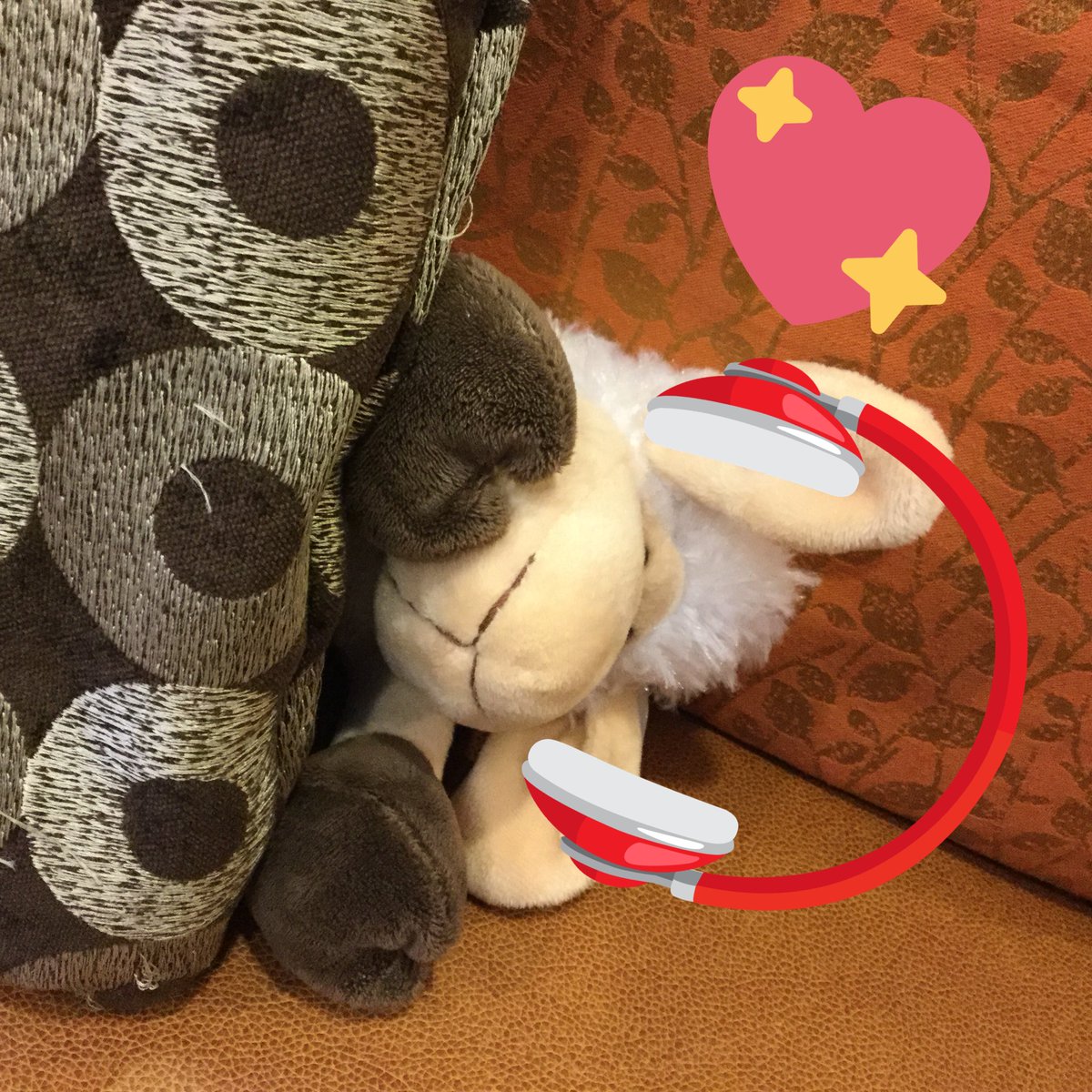 shacoa's tweet photo. Hanging out between adventures with #ExeterTheSheep and his pal @natcoa https://t.co/L3pwqheNRA