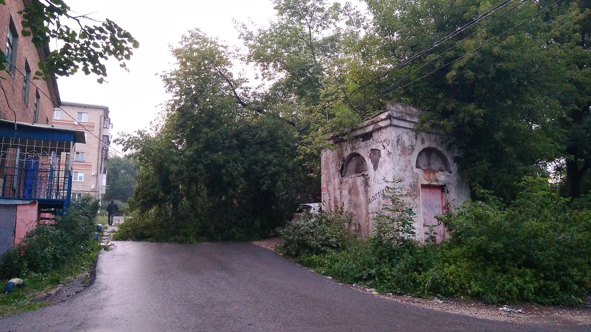 Мыза косая гора