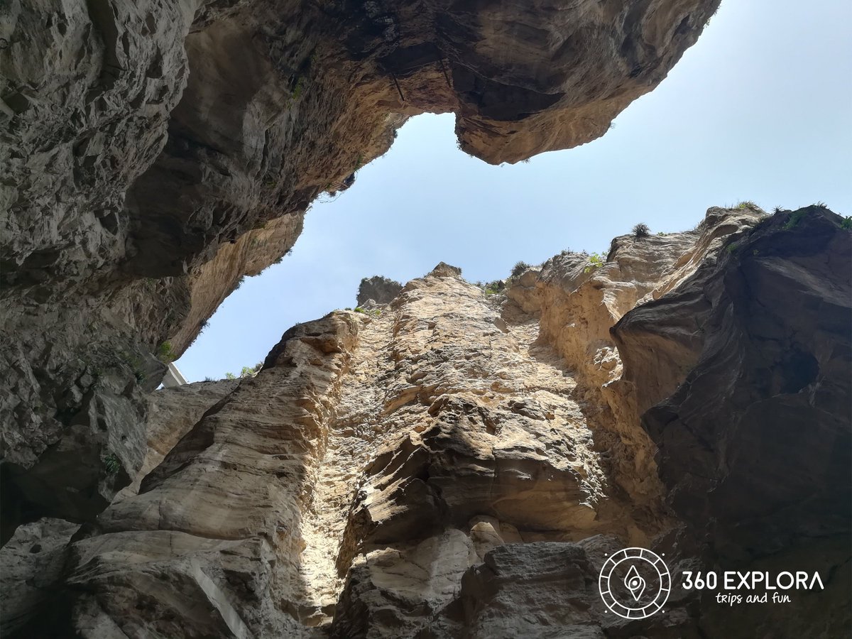 360explora_pe's tweet photo. ¿Buscas aventura, adrenalina y hacer actividades diferentes?
#360explora te recomienda:
✅ 1 día en el #CAÑONDEAUTISHA 👟🎒🌿☀️
Próximas salidas 📆: Dom #29JUL y #05AGO

Precios #REBAJADOS 😱 desde S/ 99 soles 
¡TODO INCLUIDO! 🚐+🍽️+🎟️+⛑
Info completa vía 📲+51979301950 https://t.co/2PREBzQPty