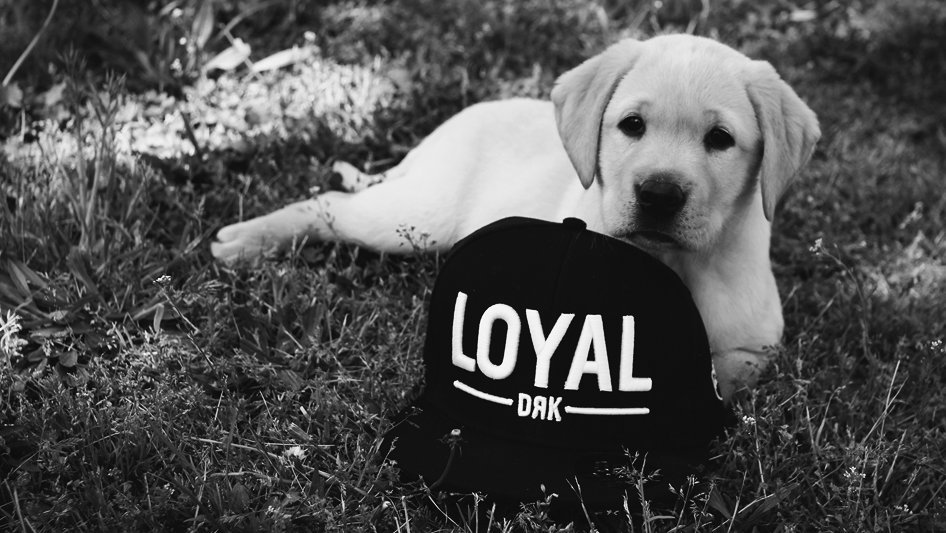 MizensRailway's tweet photo. May we suggest ...
don't forget to ask at our Ticket Office about the Mizens Railway
"LOYALTY BONUS CARD".

#loyalty #bonus #GoodIdea #Mizens https://t.co/WJd9b4O4ZJ