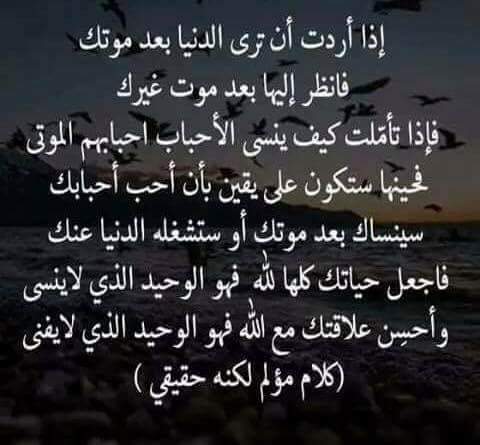7endMahmoud (@noda7oda) on Twitter photo 