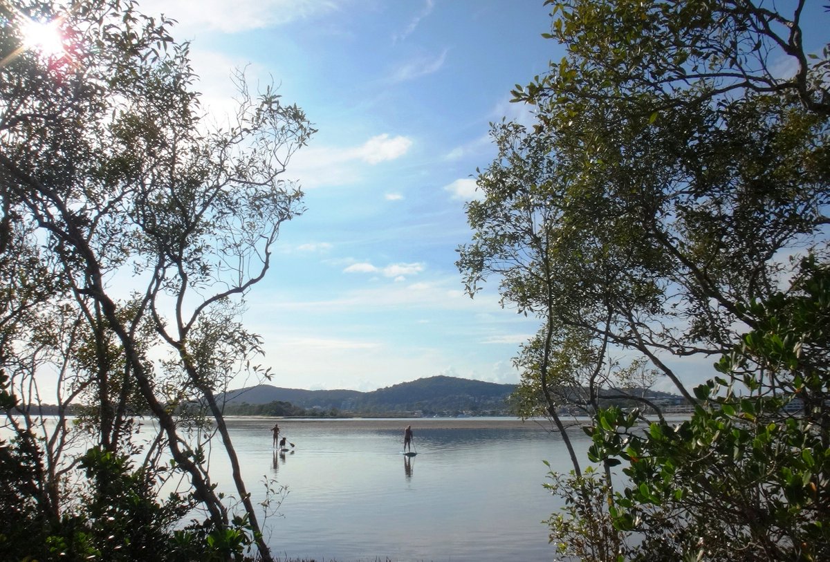 Early morning at Noosa North Shore - our neighbors - too early for me #peace #calm #Noosa #river #paddleboard #lifestyle
