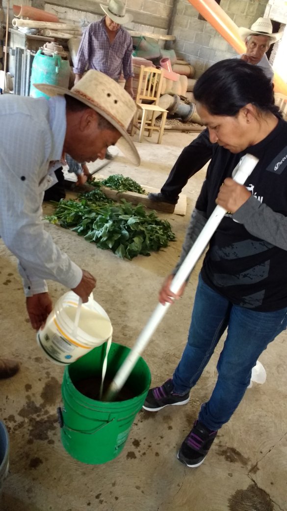 Salder8's tweet photo. Hoy #PROAGROCapacita elaboración de un biofermetado con los productores de la comunidad de Santa Maria Tianguiztenco. Huejotzingo, Puebla @ACCIMMYT
@SAGARPA_mx
@bramaccimmyt @fabriciogar63  @JorgeZertuche_ @tcasaya https://t.co/w5LXvOwYAb