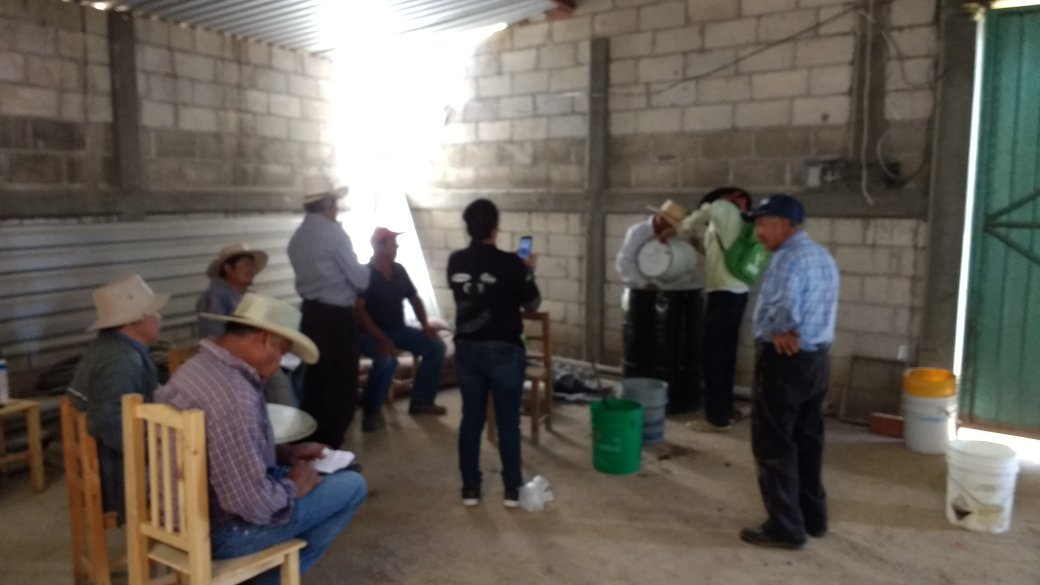 Salder8's tweet photo. Hoy #PROAGROCapacita elaboración de un biofermetado con los productores de la comunidad de Santa Maria Tianguiztenco. Huejotzingo, Puebla @ACCIMMYT
@SAGARPA_mx
@bramaccimmyt @fabriciogar63  @JorgeZertuche_ @tcasaya https://t.co/w5LXvOwYAb