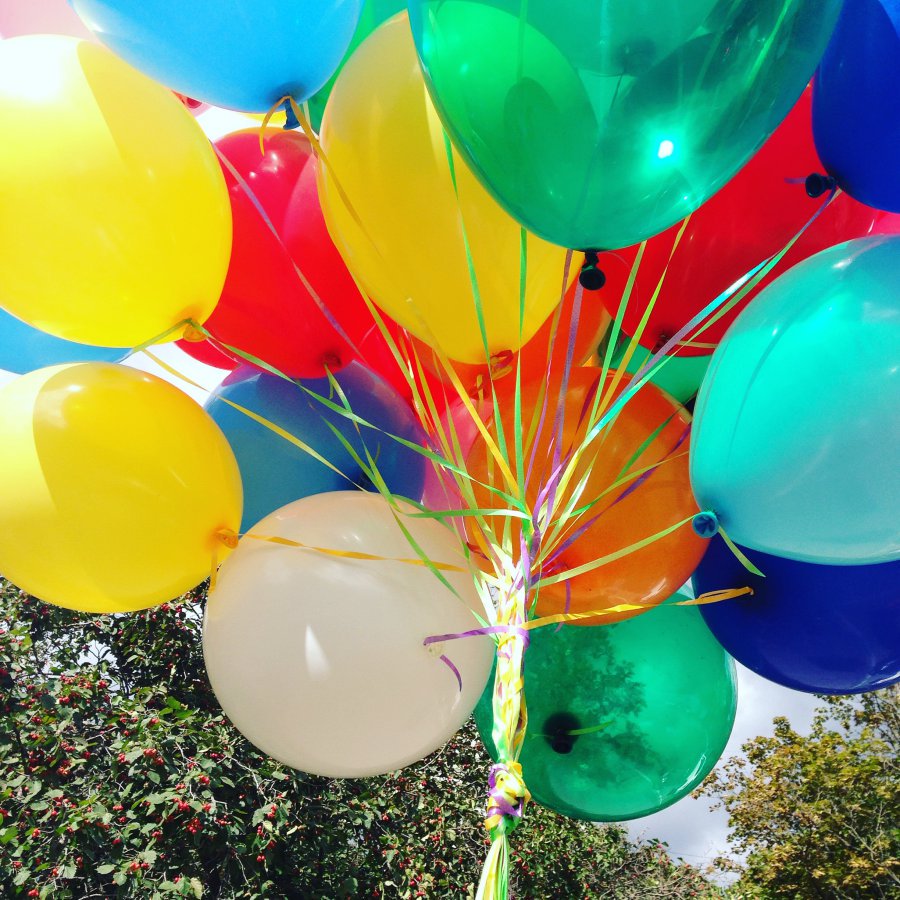 Дарья Петрова tweet media