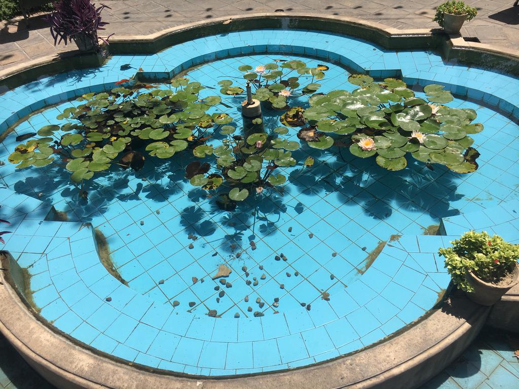 paulandersonfco's tweet photo. The beautiful gardens & cool cafe of #Negarestan Palace are ideal for whiling away a warm afternoon. And the walk from @UKinIran just long enough to work up a thirst for a cold, freshly-squeezed juice, an adventurous tea or a refreshing sharbat. #downtownisbest #Tehran #Iran https://t.co/IgPpqs2R7i