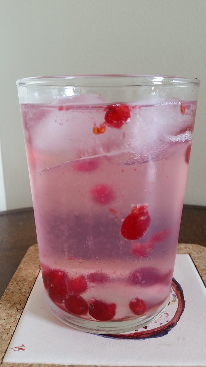 Muddled fresh red currants, Canada Dry #tonic, and <a href="/CaledoniaSpirit/">Barr Hill Gin</a> Bar Hill #gin. Upping our #GnT game. What a treat on a #summerafternoon.