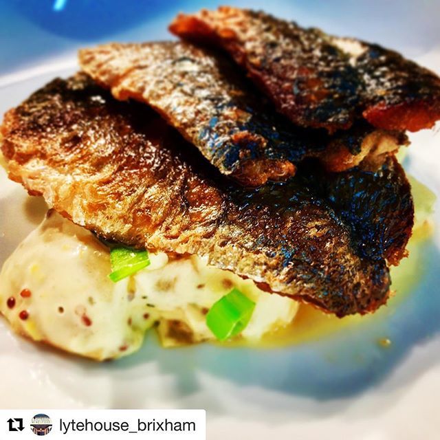 Kingfisher_BXM's tweet photo. #Repost @lytehouse_brixham γ»γ»γ»
Pan fried MSC Cornish sardines, mustard potato salad @lytehouse_brixham @kingfisher_br1xham #mscfish #sardines #cornishfish #brixham #fresh #freshfood #fish #notfrozen https://t.co/BheqvWFv3x https://t.co/wg9wxwBwJ8