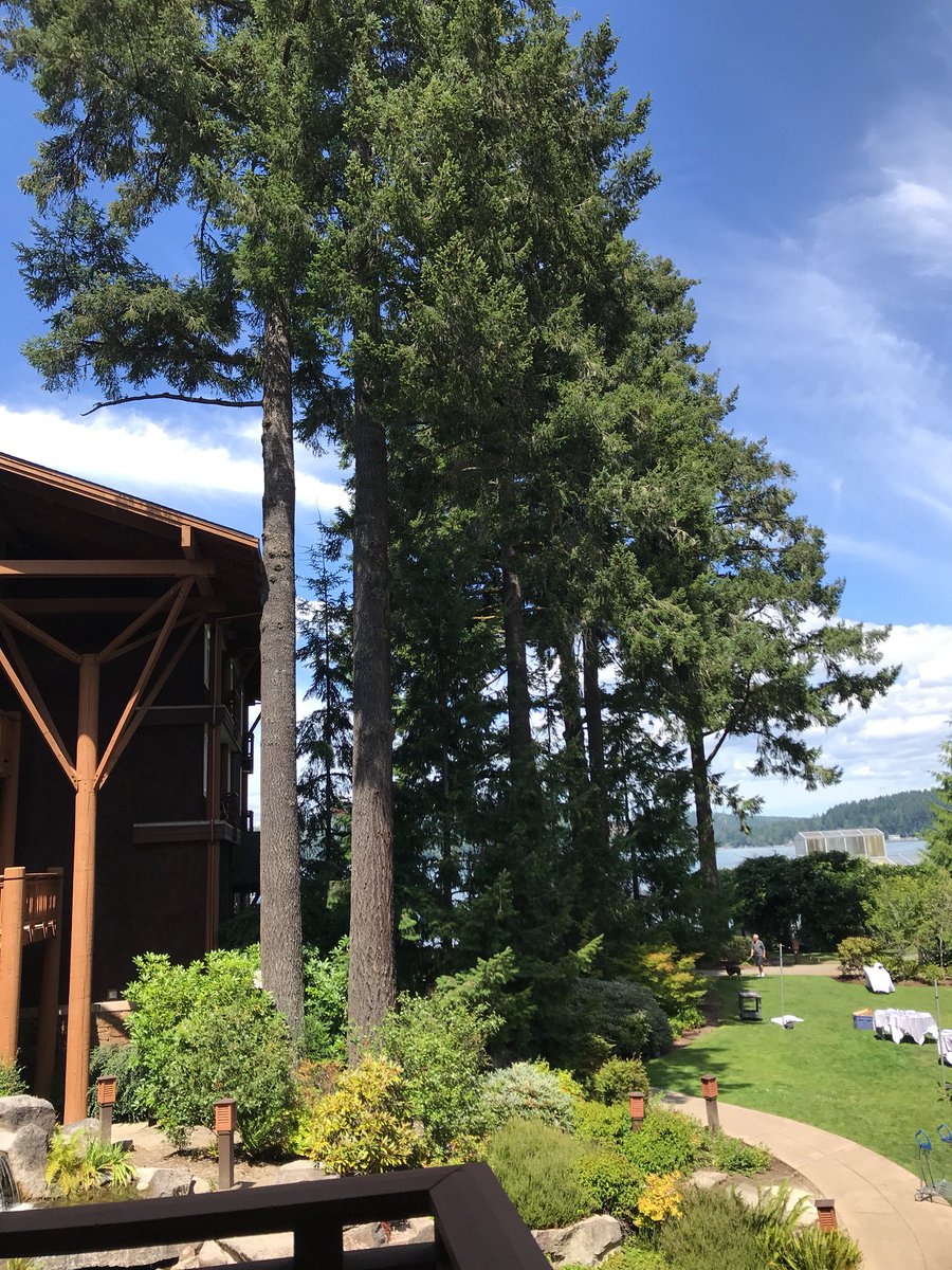 Spending the weekend at <a href="/Alderbrook_/">Alderbrook Resort</a> for our good friends wedding. It’s beautiful here😍