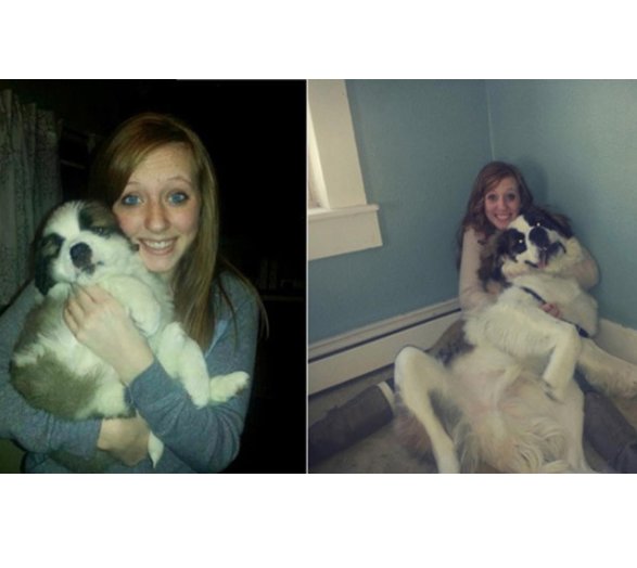 WeLoveDogsUSA's tweet photo. "I'm a big boy now! Show them mom!"
Very Big Hugs!!!

#SaintBernardBeforeandAfter #SaintBernardPuppy #SaintBernardHug
#SaintBernardGrowingUp #SaturdayThoughts #BiggestDogs #HuggingDogs https://t.co/wnSIc2Vlha