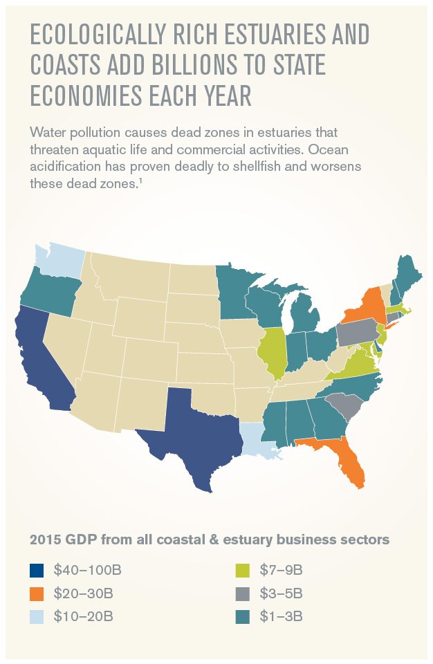 OurOcean's tweet photo. Ecologically rich estuaries add BILLIONS to state economies each year. But water pollution causes dead zones in #estuaries that threaten aquatic life and commercial activities. Help #ProtectOurEstuaries https://t.co/OPGumW8OkM https://t.co/Eb18Gc0oMy