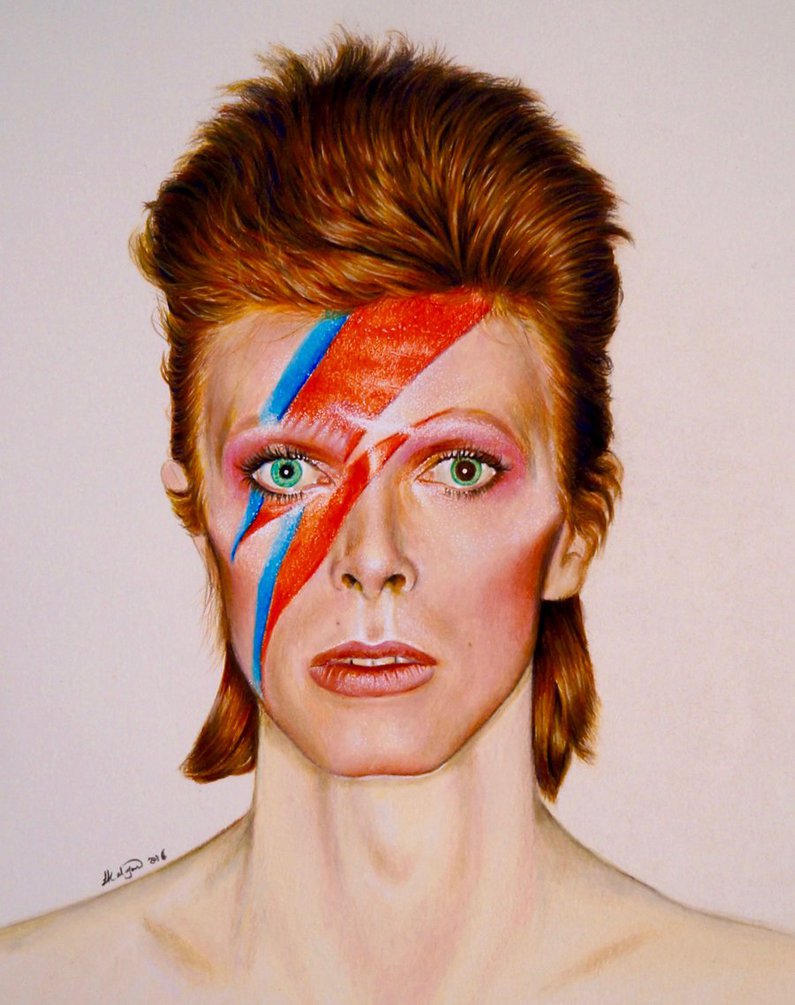 Nimbus_Budgie's tweet image. Who wore it better? #TeamBowie #TeamNimbus