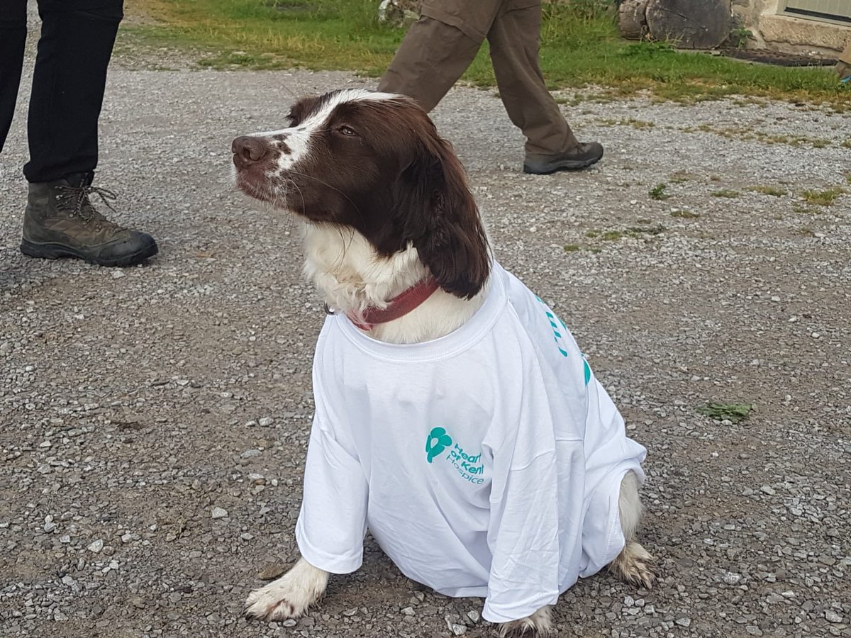 SimonCrookston's tweet photo. Our @heartofkenthosp mascot for the Yorkshire 3 peaks challenge .... https://t.co/O5xIqU0INB