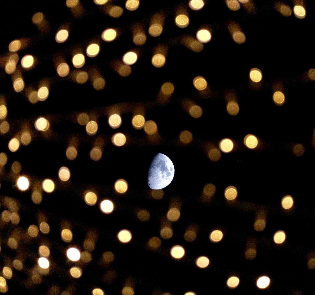 Se acaba de inaugurar el alumbrado de la velá de Santa Ana en #Triana. 
Aprovechando las guirnaldas encendidas y colocando la luna entre ellas realizamos este efecto. 
#Canon M50 - Iso 1600 F 5,6

#triana #sevilla #fotografianocturna <a href="/CanonEspana/">Canon España</a> @AgendaDeFoto <a href="/AFAAntequera/">AFA Antequera FIAP exhibition center</a>