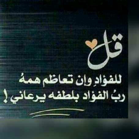 م/فاروق حسن موانس (@farogmuanes12) on Twitter photo 