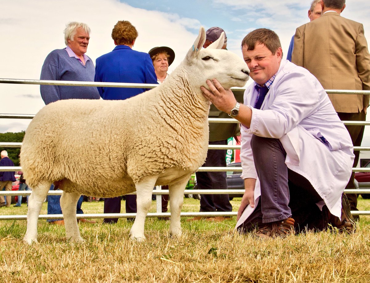 Joyce Campbell tweet media