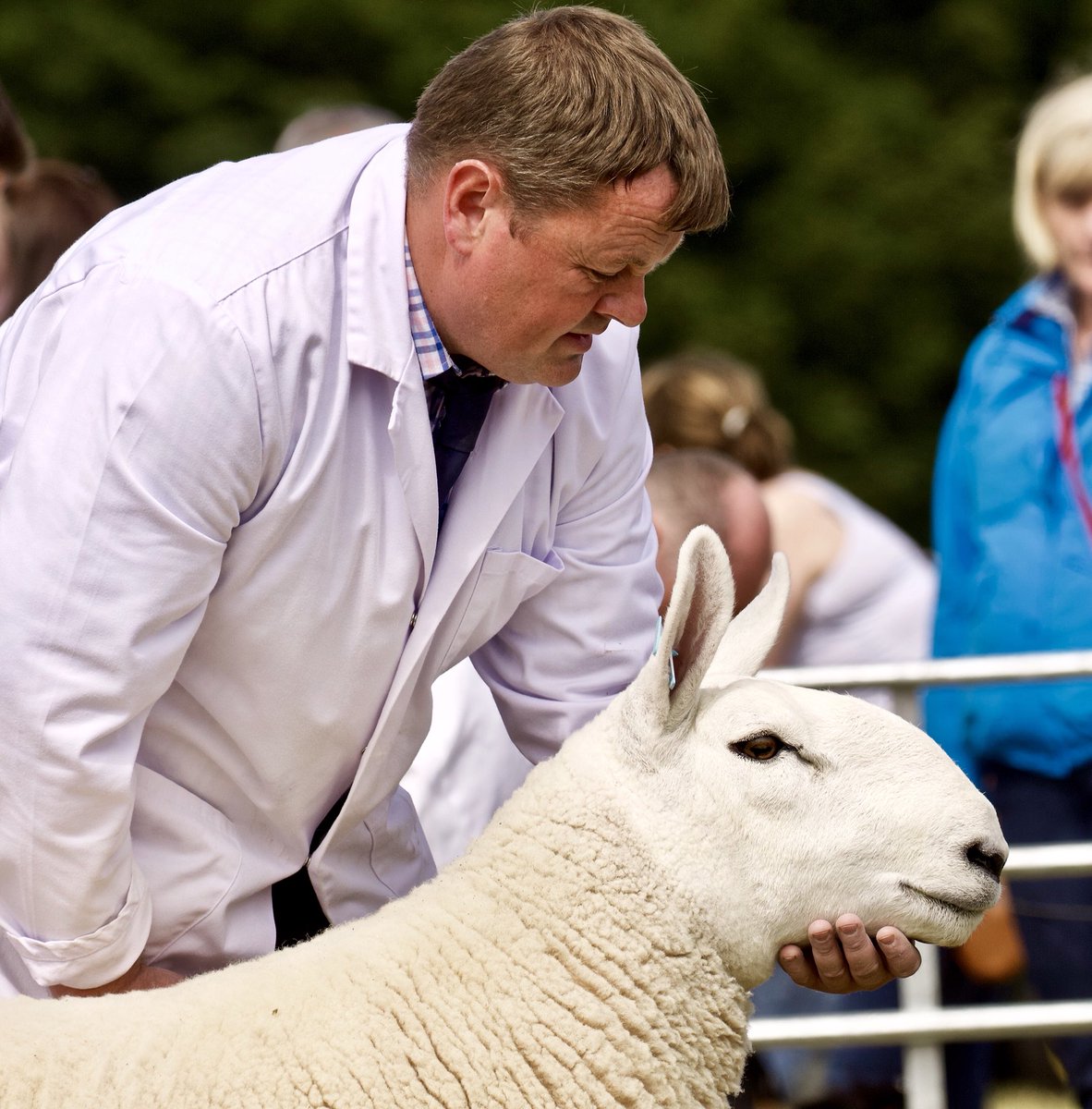 Joyce Campbell tweet media