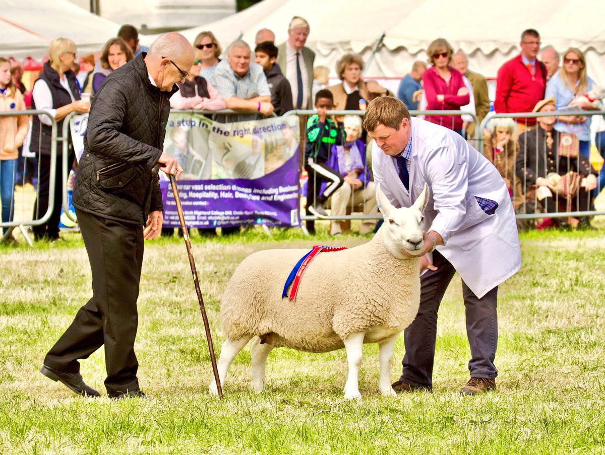 Joyce Campbell tweet media