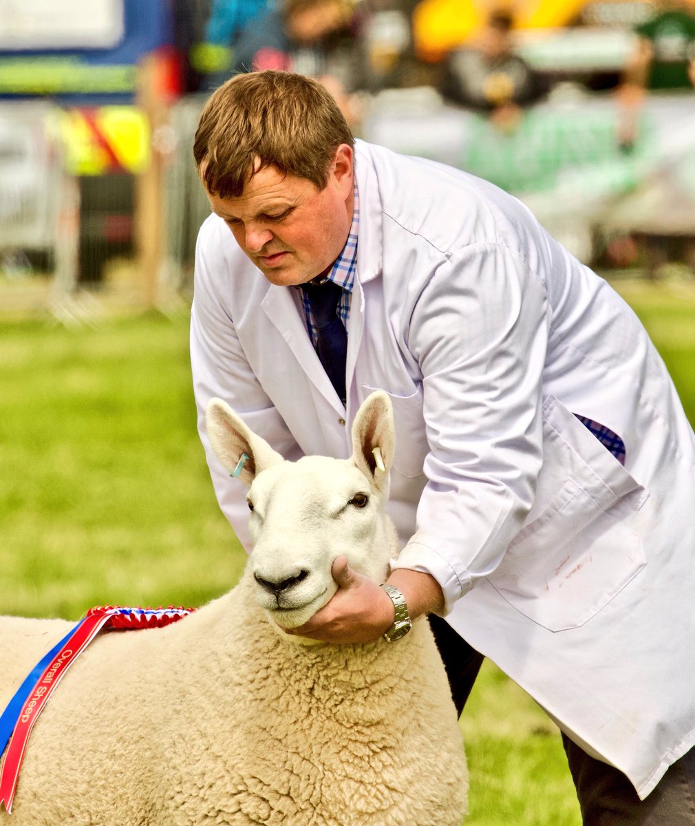 Joyce Campbell tweet media