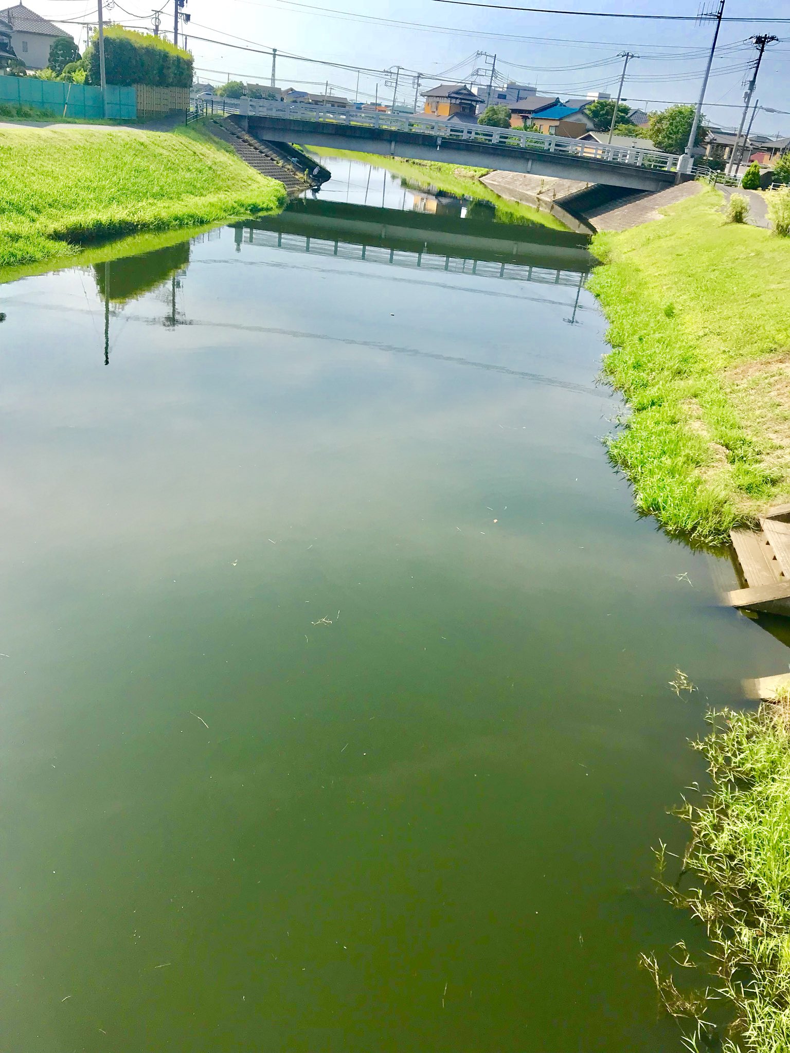 作田川 Twitter Search Twitter