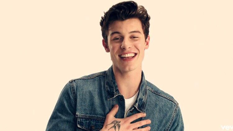 @ShawnMendes #MTVHOTTEST Shawn Mendes | rt to vote