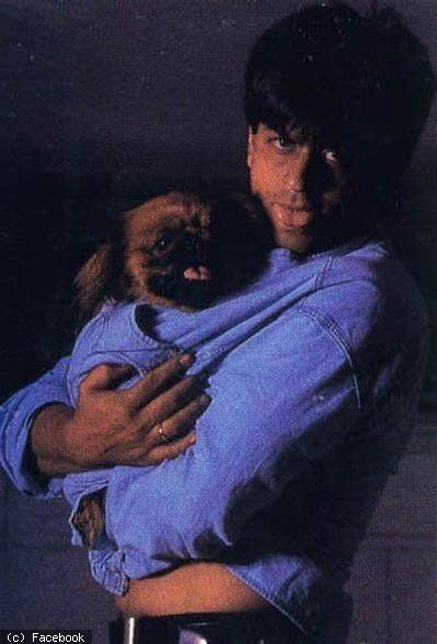 Shah Rukh Khan Universe Fan Club on Twitter: "#DidYouKnow Shah Rukh Khan's favourite book is "The Hitch-Hiker's Guide To The Galaxy" by Douglas Adams. He has a dog named Chewbacca. The actor