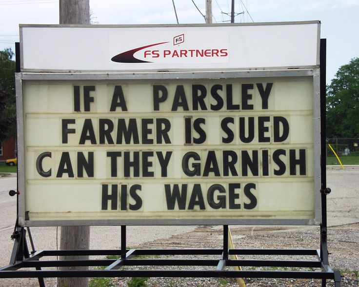 bigdaddyssigns's tweet photo. If a parsley farmer is sued, can they garnish his wages?
(Not our image. Contact us for credit.)
#BDSSigns #WhatsYourSignSay https://t.co/Lp1Q5QFMgN