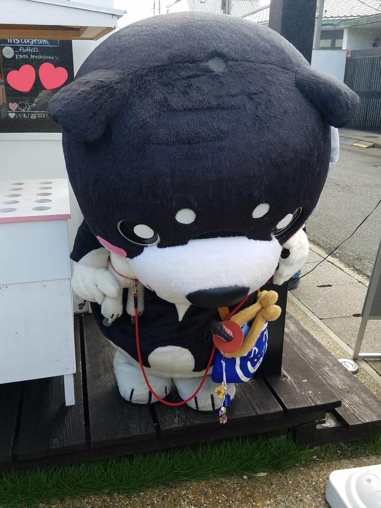 lionlovekohchan's tweet photo. 【fluffy】さん
①②綿菓子が乗った
可愛いドリンクがいっぱい💕
③④えっ!?
そんな狭い所通るの?w
#嵐山
#flully
#和み柴っ子 https://t.co/sMzCcfFh1j