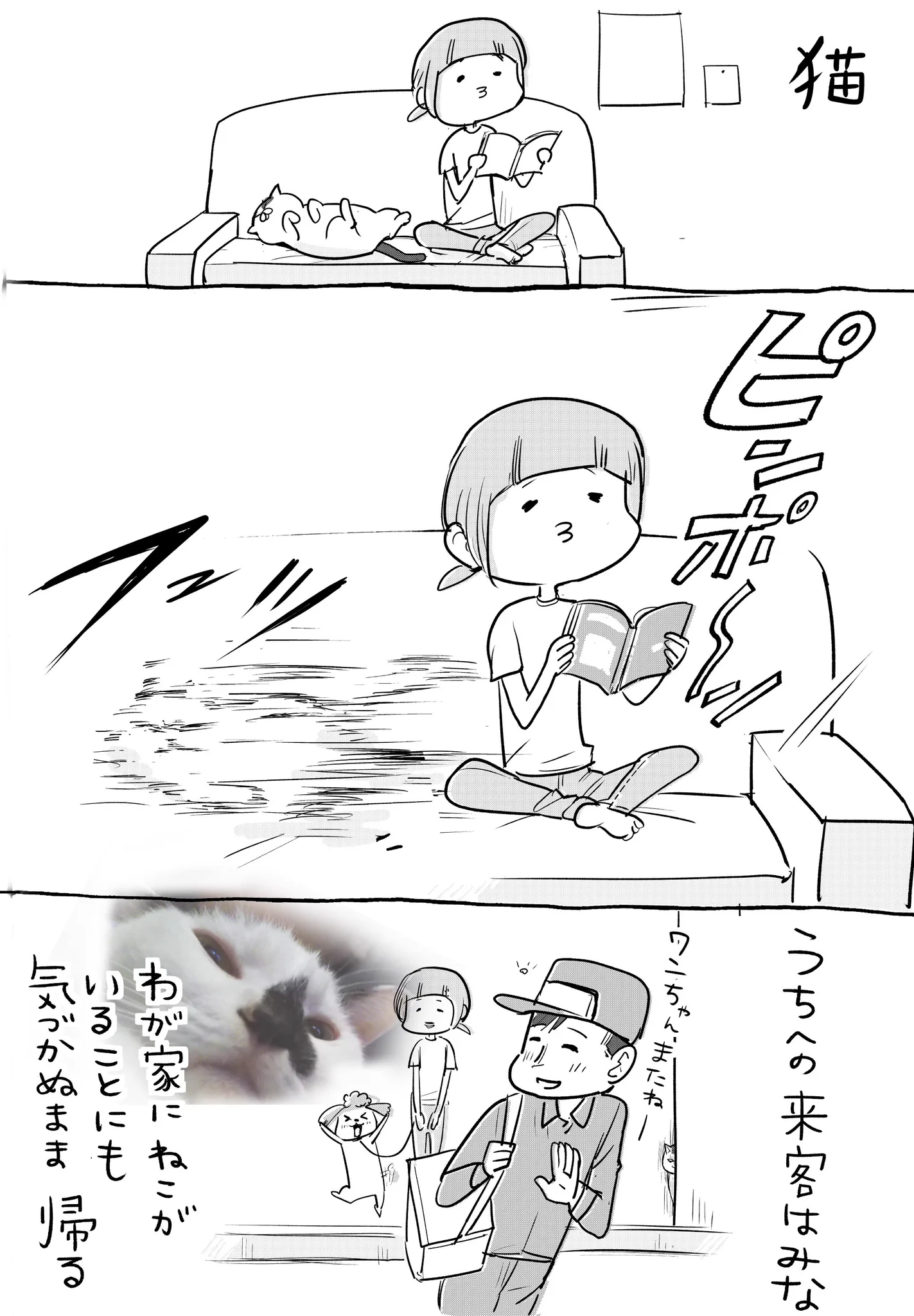 両頭飼いあるあるｗ知らない人が家に来た時の犬と猫の反応の違いｗｗｗ