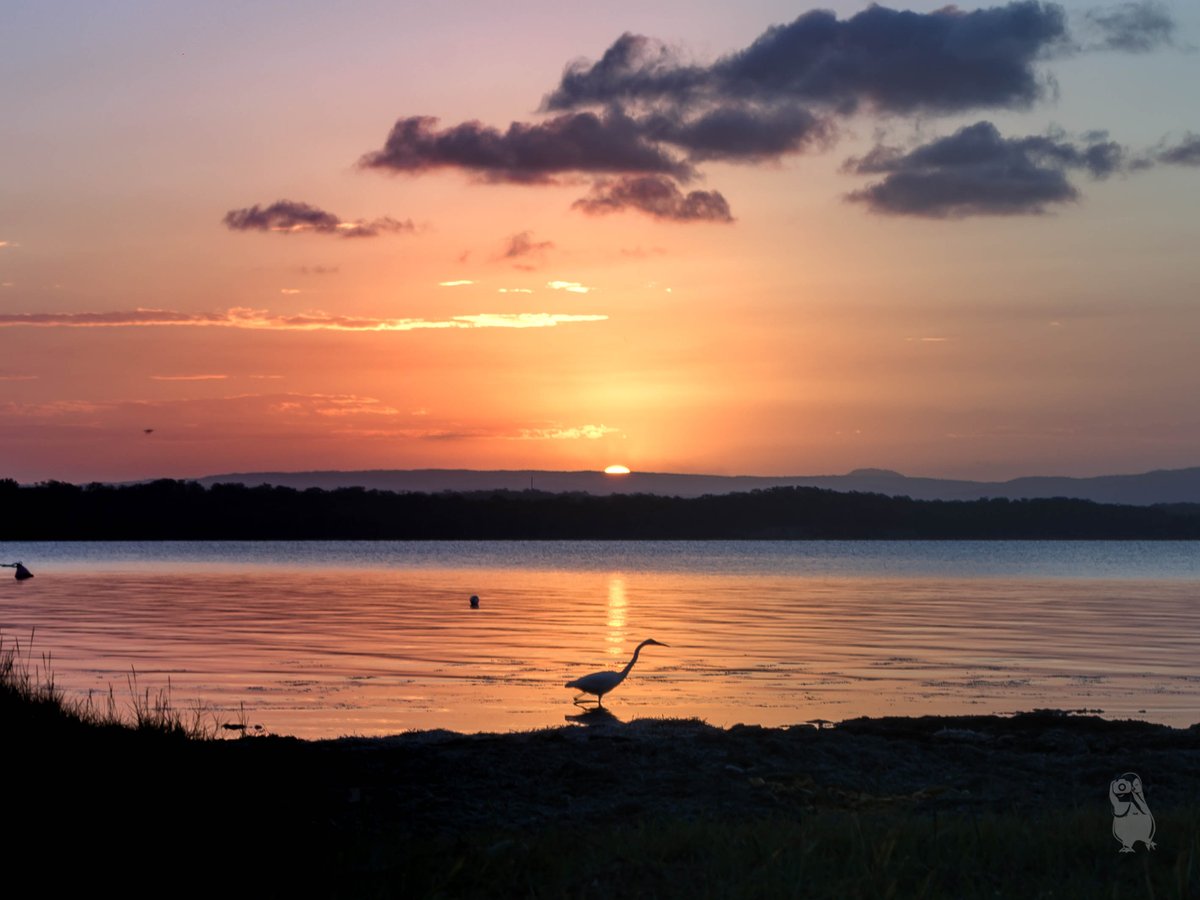 SeeKo_O's tweet photo. Sunsets were made to be shared
.
.
.
.
#nikond5200 #landscape #photography #murraysbeach #newcastle #roadtrip #sunsets #freedom @ Murrays Beach https://t.co/zoMEPwuRcj https://t.co/gkRDX6wHPS