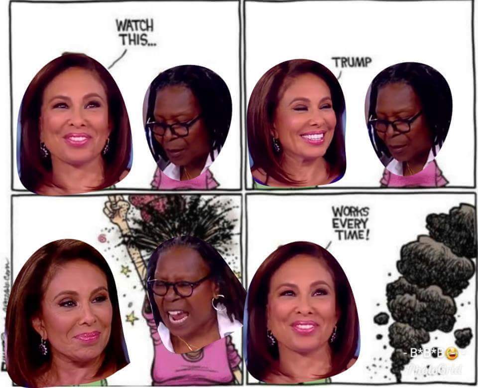 CoveringGrounds's tweet photo. @GeorgeTakei #WhoopieGoldberg <<-- furure high school shooter!
.
#LiberalismIsAMentalDisorder 
#theview #Pirro https://t.co/RNJCbrjN0i