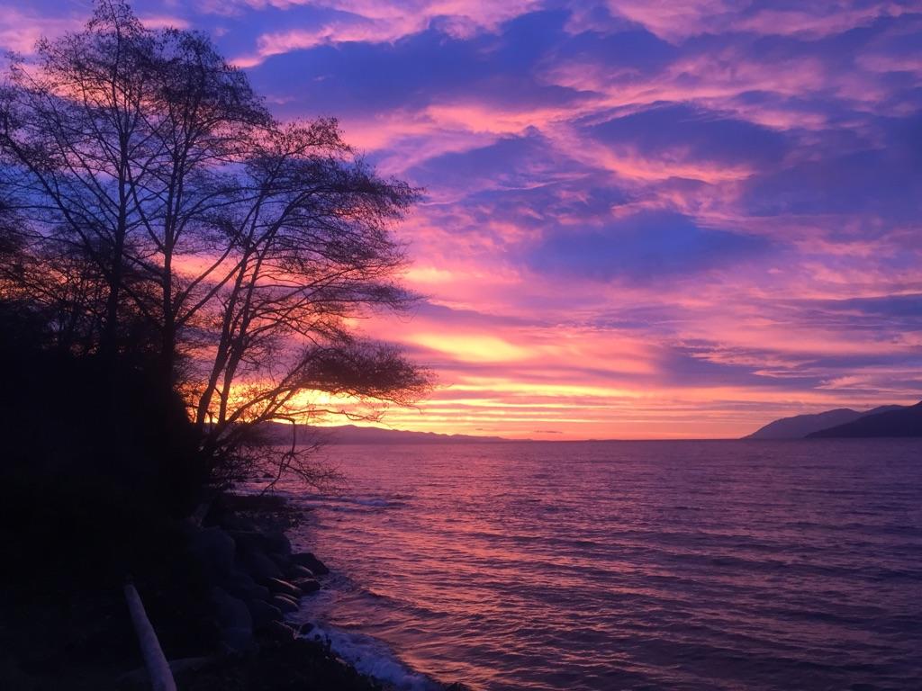 NaturNaturally's tweet photo. Picture from a customer in #powellriver #BritishColumbia "Thank you for giving me freedom to #njoi #naturenaturally again!" https://t.co/rf7W8QP8fg