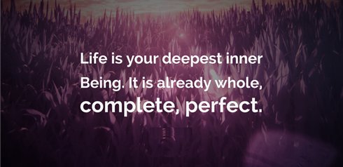 True Inner-being is neither body, nor feelings, nor thoughts, nor intellect & nor any qualities. Inner-being is a  #drop of  #energy, it's because of the ignorant notion that we don't know the difference between the Self &  #Divine. Divine- #Realization really means Self-Realization.