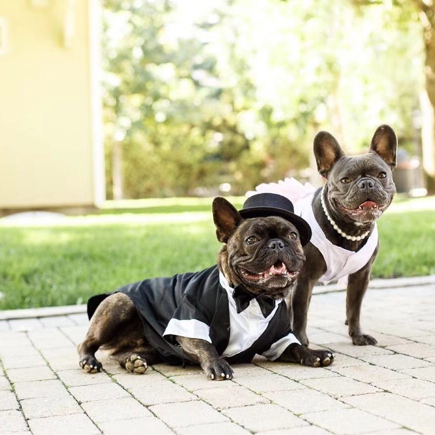qmisslin's tweet photo. Wife and husband. 😂#tbt #instalike #likes #likeme #likeforlike #like4like #likes #instafollow #follow #followme #happy #instadog #dog #amo #love #instagay #gay #gaysp #instaboy #boy https://t.co/rJZyVNzDiE