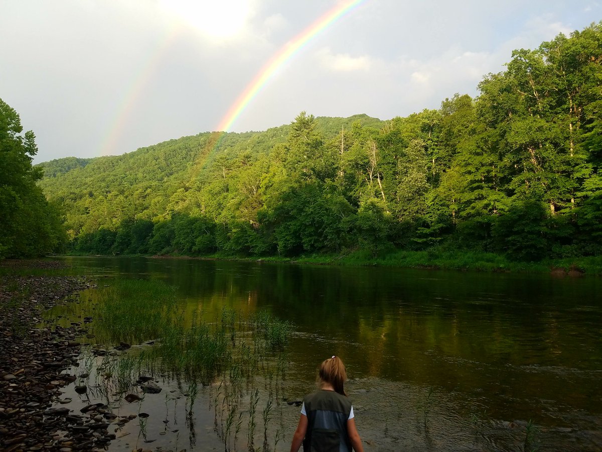 AdamMerritt11's tweet photo. My favorite fishing partner
#Greenbrierriver https://t.co/8ZdVVWzRWC