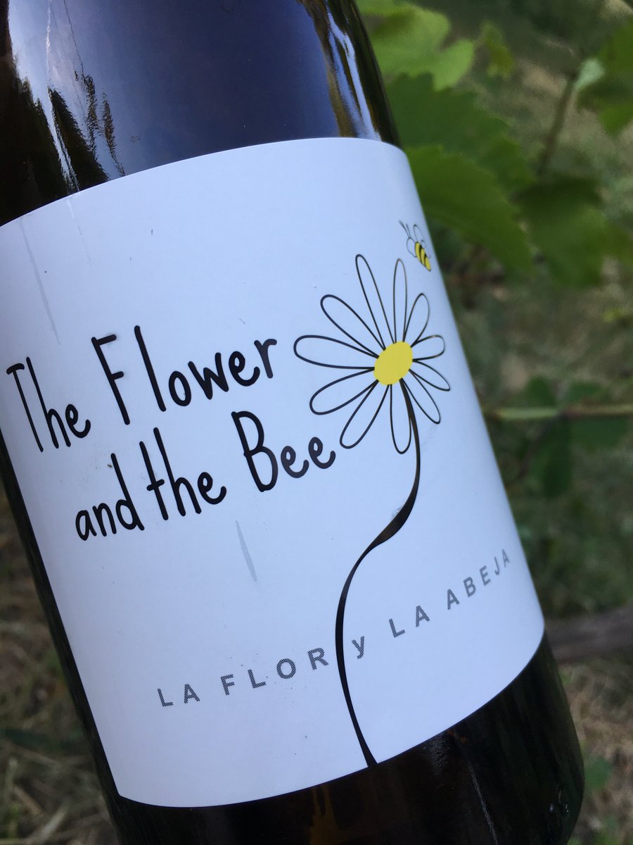 Cellier Domesticus⛅️ tweet media